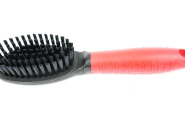 Bristle Brush - Pet Product - Small - Shantys - 1