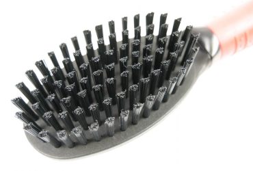 Bristle Brush - Pet Product - Small - Shantys - 7