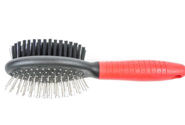 Pin Bristle Brush - Pet Product - Large - Shantys - 1