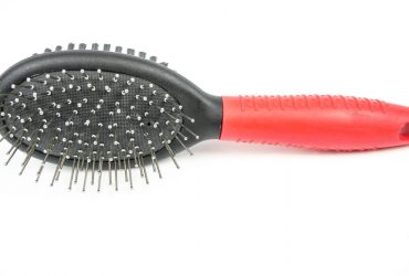 Pin Bristle Brush - Pet Product - Large - Shantys - 2