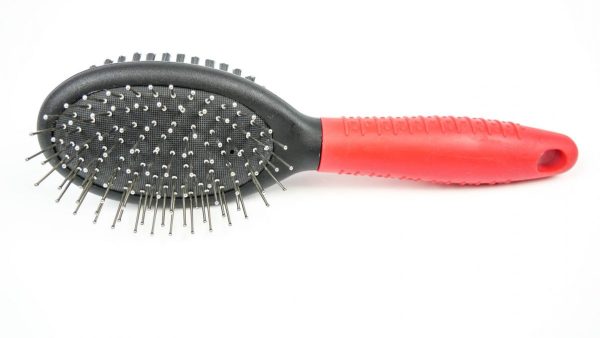 Pin Bristle Brush - Pet Product - Large - Shantys - 2