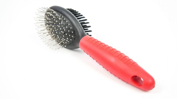 Pin Bristle Brush - Pet Product - Large - Shantys - 3