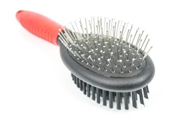 Pin Bristle Brush - Pet Product - Large - Shantys - 5