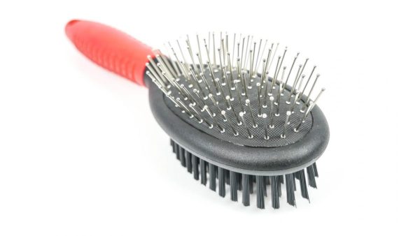 Pin Bristle Brush - Pet Product - Large - Shantys - 5