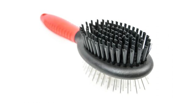 Pin Bristle Brush - Pet Product - Large - Shantys - 6