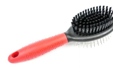 Pin Bristle Brush - Pet Product - Large - Shantys - 7