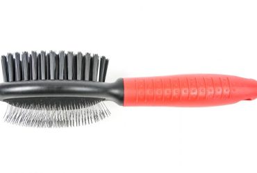 Pin Bristle Brush - Pet Product - Small - Shantys - 1