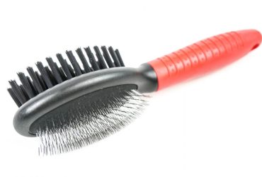 Pin Bristle Brush - Pet Product - Small - Shantys - 3