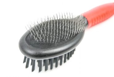 Pin Bristle Brush - Pet Product - Small - Shantys - 7