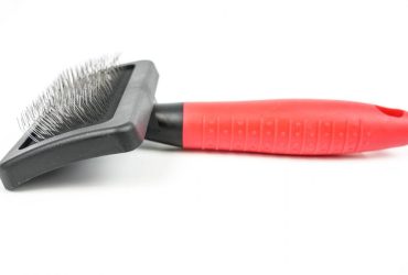 Slickers Brush - Pet Product - Medium - Shantys - 6