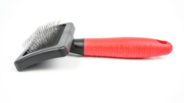 Slickers Brush - Pet Product - Medium - Shantys - 6