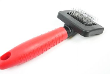 Slickers Brush - Pet Product - Small - Shantys - 4