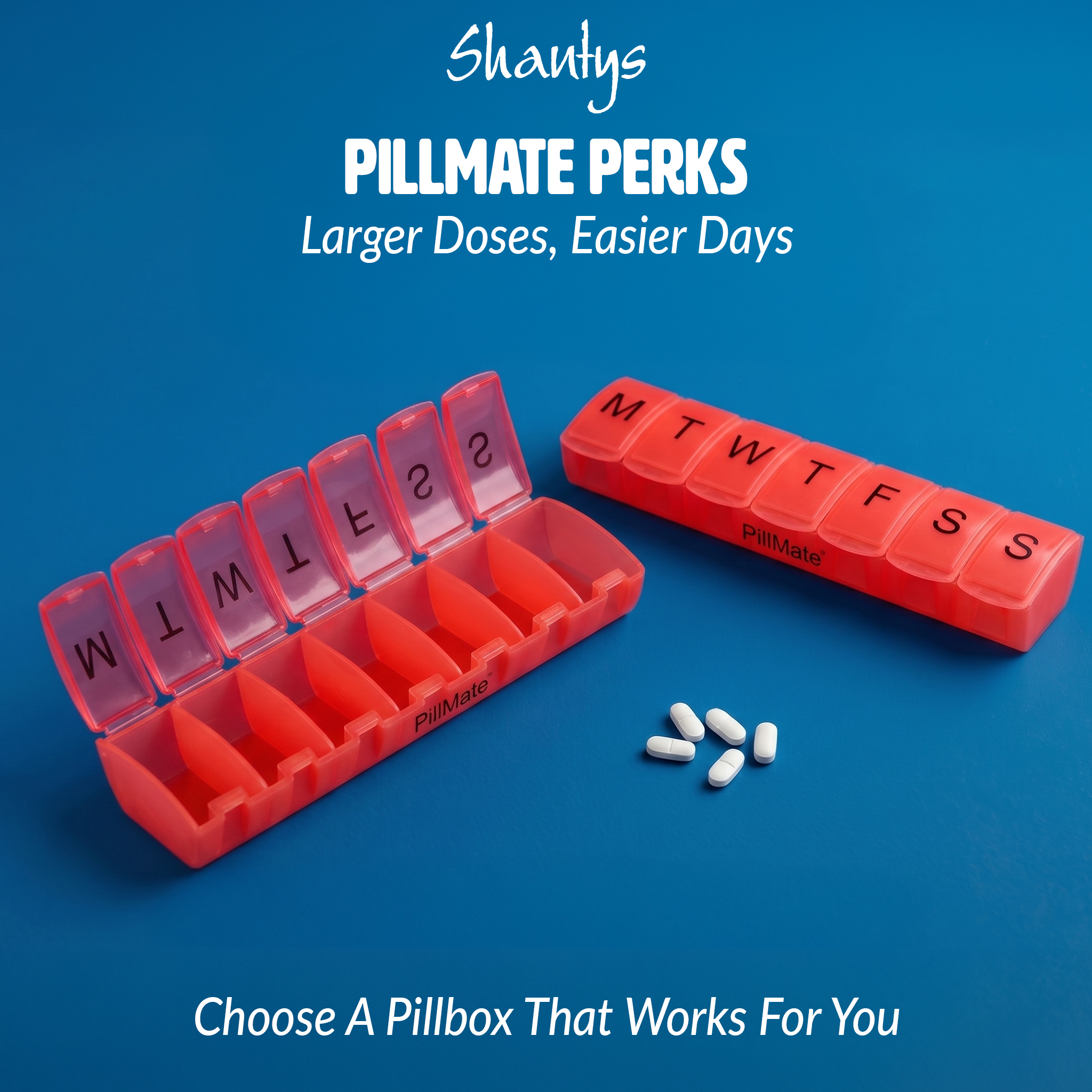 Shantys Large 7 Days Pillmate 19023v02 002